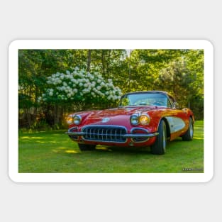 Iconic 1960 American Sports Car Sticker